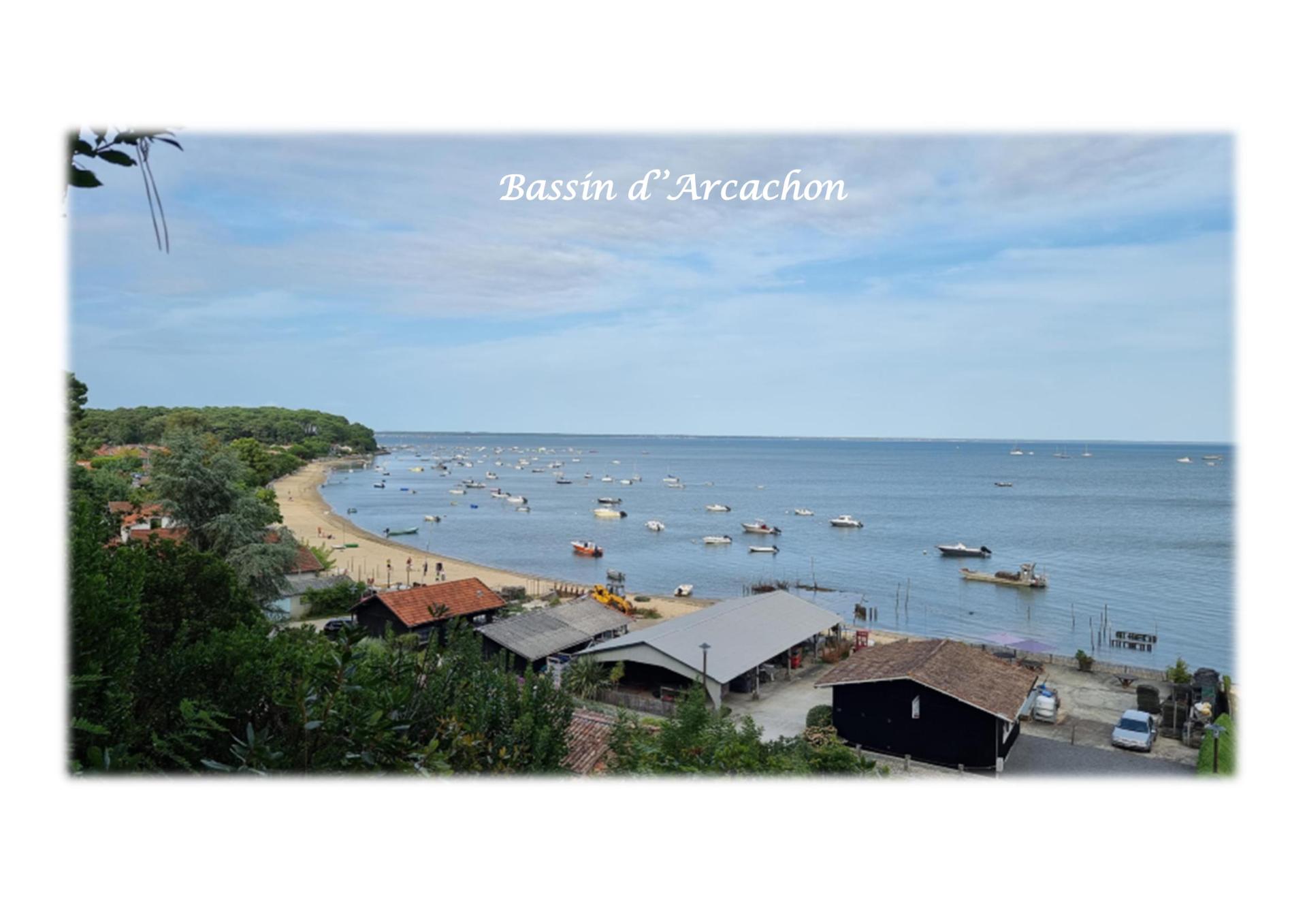 Bassin vue du canon